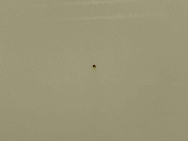 ミライースX SACD/AM・FMラジオ AUX接続 電動格納ドアミラー スモークガラス アルミホイール デジタルメーター キーレスエントリー 盗難防止警報 アイドリングストップ サイドレバー式駐車ブレーキ スマアシ(千葉県)の中古車