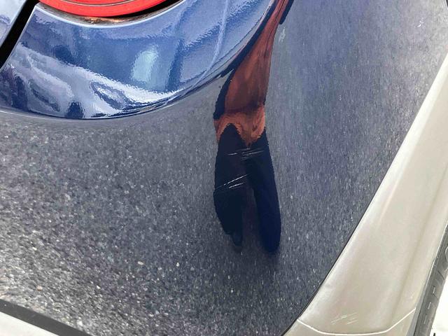 アルトラパンFリミテッドCDチューナー ETC HIDヘッドライト 14インチアルミ ドアミラーウインカー スマートキー オートAC 運転席シートヒーター/リフター 照明/バニディミラー付きサンバイザー 衝突被害軽減ブレーキ(千葉県)の中古車