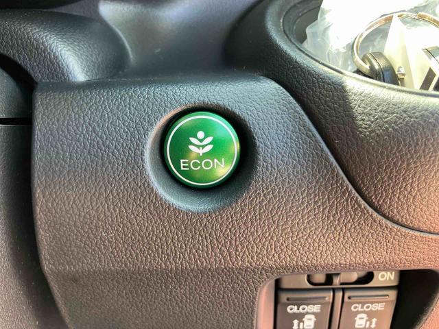 N−BOXG・LパッケージSDナビゲーション バックカメラ CD DVD ETC 両側電動スライドドア シティブレーキアクティブシステム 横滑り防止装置 スマートキー プッシュボタンスタート オートエアコン(千葉県)の中古車