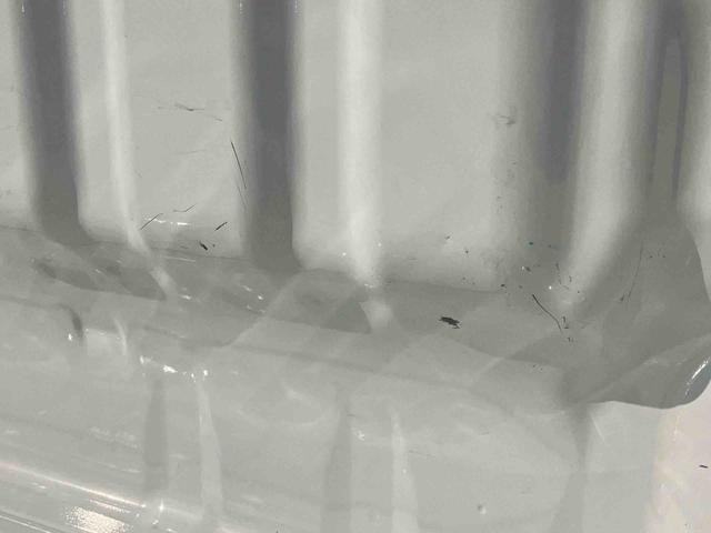 ハイゼットトラックエクストラ 4WDCDチューナー 副変速機 荷台ライト リヤ4枚リーフスプリング リヤデフロック テールゲートチェーン フォグランプ メッキガーニッシュ キーレスエントリー エアコン パワステ(千葉県)の中古車