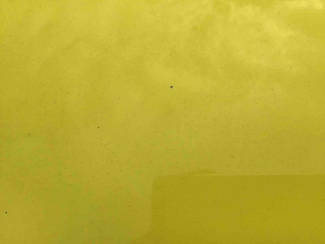 スイフトスポーツベースグレード　セーフティＰＫＧ装着車６か月保証　６速マニュアルミッション・フルセグナビ・ＥＴＣ・サイドエアバッグ・運転席シートヒーター付き（千葉県）の中古車