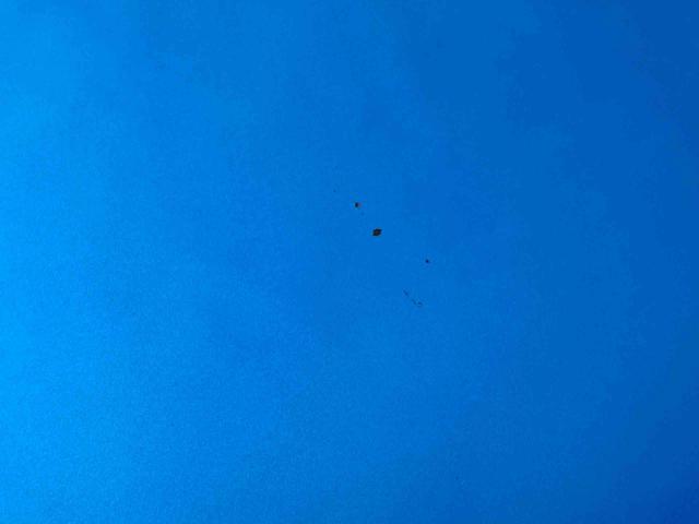 ミライースG リミテッドSAIIIナビ/BT/TV/DISC/Bカメラ ドラレコ ETC 14インチアルミ LEDヘッド/フォグ リヤワイパー スマートキー オートエアコン シートヒーター オート格納ドアミラー 運転席シートリフター(千葉県)の中古車