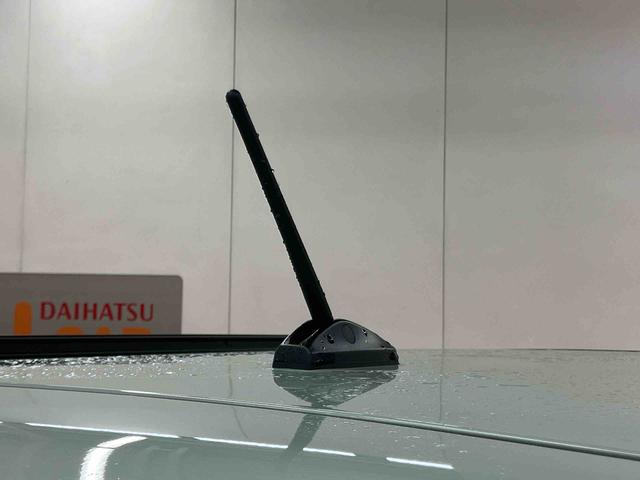 タフトＧターボ　ダーククロムベンチャースマアシ　ダイハツ予防安全機能　アダプティブクルーズコントロール　前後コーナーセンサー　オートブレーキホールド付き電動パーキング　スカイフィールトップ　前席シートヒーター　プッシュエンジンスタート（千葉県）の中古車