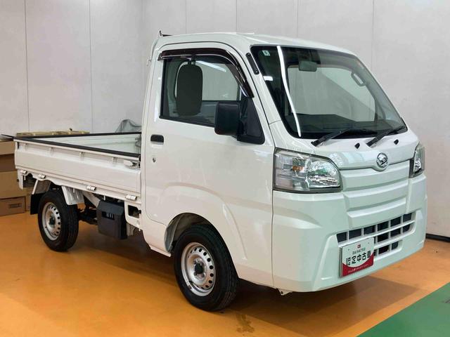 ハイゼットトラックスタンダード 農用スペシャル4WD スーパーデフロック ゲートプロテクター ガードフレームプロテクター テールゲートチェーン リヤ4枚リーフスプリング 荷台作業灯 スピーカー一体型ラジオチューナー 助手席シートバックポケット(千葉県)の中古車