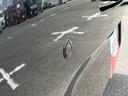 ナビ（Ｂｌｕｅｔｏｏｔｈ／ＣＤ＆ＤＶＤ／フルセグＴＶ）　ＬＥＤヘッドライト　電動格納ドアミラー　リヤシートヘッドレスト　プライバシーガラス　衝突被害軽減ブレーキ　コーナーセンサー　キーレスエントリー（千葉県）の中古車