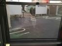 ツートンカラー！　９インチフルセグナビ・バックカメラ・ＥＴＣ・ドラレコ付き（千葉県）の中古車