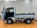 スマアシ　ダイハツ予防安全機能　３モード選択電子制御式４ＷＤ　マニュアルレベリング機能付ＬＥＤヘッドライト　荷台マット　テールゲートチェーン　ゲートプロテクター　ガードフレームプロテクター（千葉県）の中古車