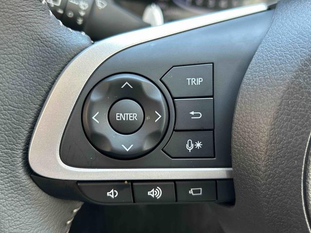 ロッキープレミアムＧ　クルーズコントロール　ＬＥＤヘッドランプ保証　新車保証・まごころ保証　１年間・走行距離無制限付き　アダプティブクルーズコントロール　全方位カメラ　ＬＥＤヘッドランプ　ＬＥＤフォグランプ　前席シートヒーター　電動パーキングブレーキ（東京都）の中古車