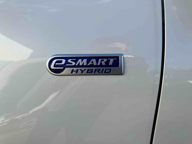 ロッキープレミアムＧ　ＨＥＶ　アダブティブクルーズコントロール搭載！保証　新車保証・まごころ保証　１年間・走行距離無制限付き　走行距離８０９ｋｍ　ＣＤチューナー　アダブティブクルーズコントロール　パノラマモニター　１７インチアルミホイール　電動パーキング　シートヒータ（東京都）の中古車