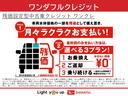 福祉車両・車検整備付・フルセグナビ・バックカメラ・ドラレコ（東京都）の中古車