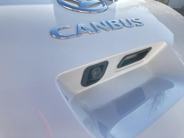 ムーヴキャンバスストライプスＧターボ　７インチナビ　パノラマカメラ　ＡＣＣ保証　新車保証・まごころ保証　１年間・走行距離無制限付き（東京都）の中古車