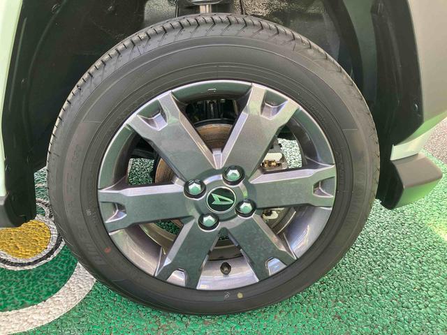タフトＧターボ　ダーククロムベンチャー　パノラマカメラ保証　新車保証・まごころ保証　１年間・走行距離無制限付き　キーフリー　パノラマカメラ　シートヒーター（東京都）の中古車