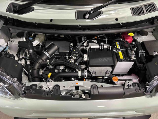 タフトＧターボ　ダーククロムベンチャー保証　新車保証・まごころ保証　１年間・走行距離無制限付き（東京都）の中古車