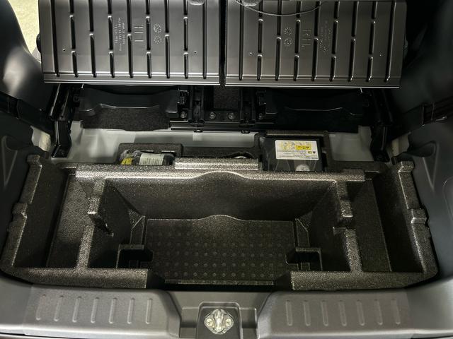 ムーヴキャンバスストライプスＧ　９インチディスプレイオーディオ装備保証　新車保証・まごころ保証　１年間・走行距離無制限付き（東京都）の中古車