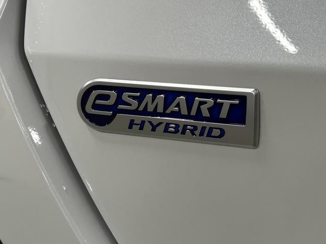 ロッキープレミアムG HEV 9インチディスプレイオーディオ装備保証 新車保証・まごころ保証 1年間・走行距離無制限付き・9インチディスプレイオーディオ装備・パノラマカメラ・ドライブレコーダー装備・ETC装備(東京都)の中古車