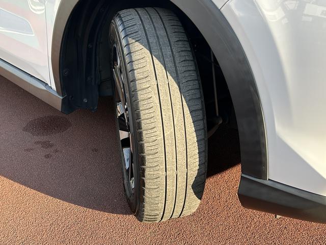 ロッキープレミアムＧ　ＨＥＶ９インチナビ・パノラマカメラ・ドラレクルーズコントロール・ＥＴＣ・シートヒーター（東京都）の中古車