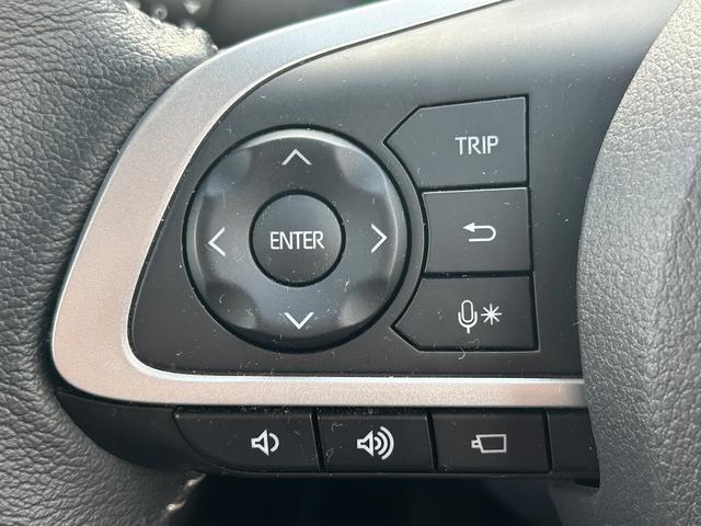 ロッキープレミアムＧ　ＨＥＶ９インチナビ・パノラマカメラ・ドラレクルーズコントロール・ＥＴＣ・シートヒーター（東京都）の中古車