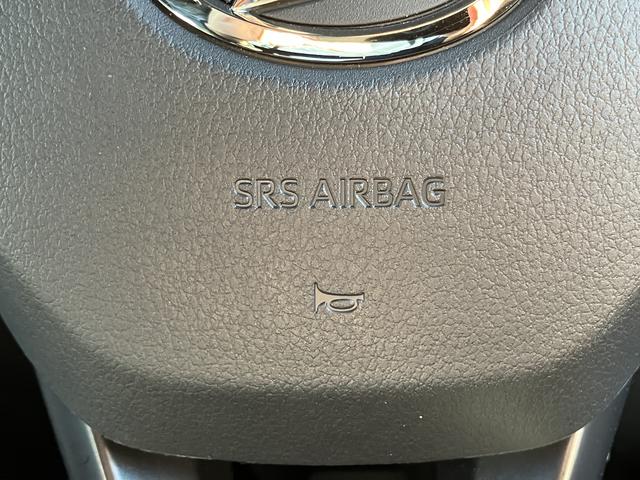 タフトＧ　ダーククロムベンチャーフルセグナビ・ドラレコ・全周囲カメラ・クルーズコントロール・シートヒーター（東京都）の中古車