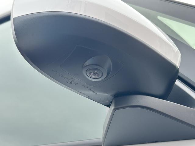 ムーヴRS9インチディスプレイオーディオ・全周囲カメラ・クルースコントロール(東京都)の中古車