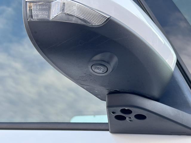 タントウェルカムシートリフトカスタムＲＳスタイルセレク福祉車両・４ＷＤ・９インチナビ・パノラマカメラ・ドラレコ・ＥＴＣ（東京都）の中古車