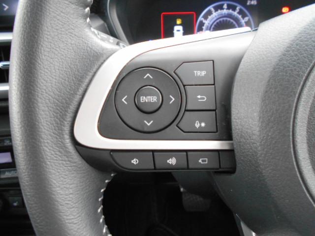 ライズＺディスプレイオーディオ・全周囲カメラ・ドラレコ・ＥＴＣ・クルーズコントロール（東京都）の中古車