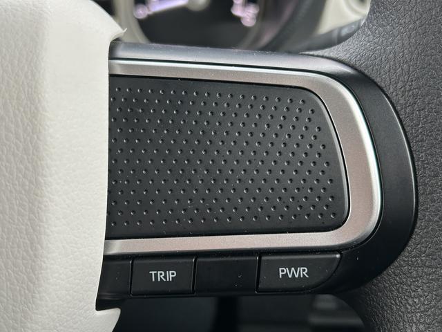 ムーヴキャンバスストライプスＧ　９インチディスプレイオーディオ装備保証　新車保証・まごころ保証　１年間・走行距離無制限付き（東京都）の中古車