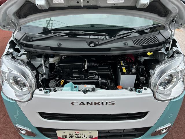 ムーヴキャンバスストライプスＧ　９インチディスプレイオーディオ装備保証　新車保証・まごころ保証　１年間・走行距離無制限付き（東京都）の中古車