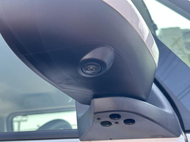 ムーヴキャンバスストライプスＧフルセグナビ・ドラレコ・全周囲カメラ・両側電動スライドドア（東京都）の中古車