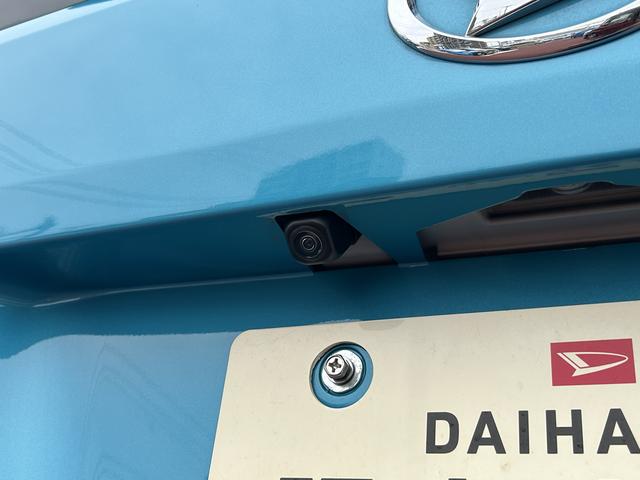 トールＧ７インチナビ・パノラマカメラ・ドラレコ・ＥＴＣ（東京都）の中古車