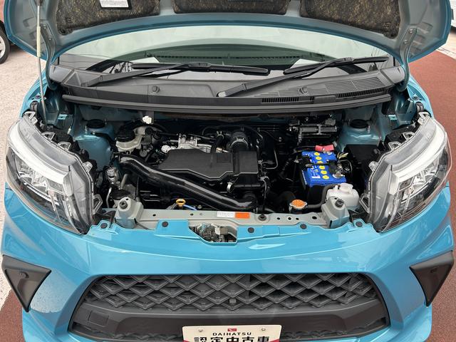 トールＧ７インチナビ・パノラマカメラ・ドラレコ・ＥＴＣ（東京都）の中古車