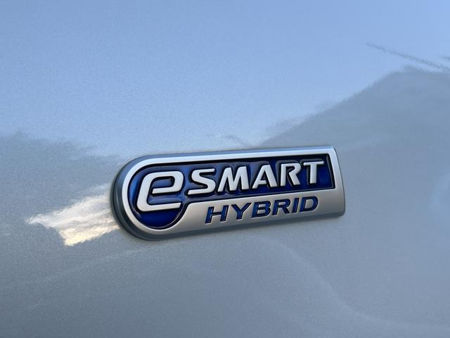 ロッキープレミアムG HEV保証 新車保証・まごころ保証 1年間・走行距離無制限付き(東京都)の中古車