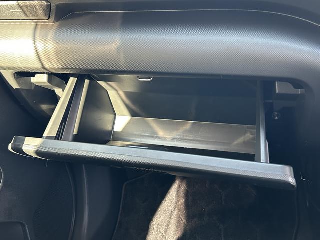 ロッキーＧ９インチナビ・バックカメラ・ドラレコ装備保証　新車保証・まごころ保証　１年間・走行距離無制限付き（東京都）の中古車