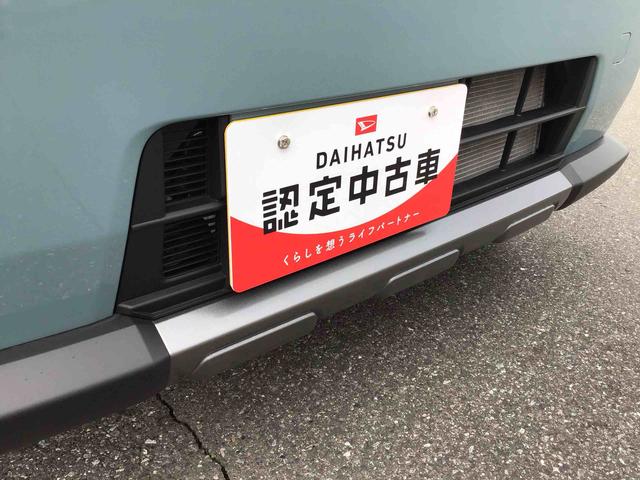 タフトＧターボ　クロムベンチャーオーディオレス　衝突回避支援ブレーキ　誤発進抑制装置　アイドリングストップ　オートライト　オートハイビーム　スマートキー　プッシュボタンスタート　盗難防止装置イモビライザー　シートヒーター（千葉県）の中古車