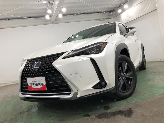 ＵＸＵＸ２５０ｈバージョンＣ　走行１８９８９キロ／ナビ／ドラレコ一年保証・走行距離無制限走行１８９８９キロ　サンルーフ　フルセグナビ　ブルートゥース　全周囲カメラ　ドラレコ　ＥＴＣ　オートライト　ＬＥＤヘッドライト　シートヒーター（埼玉県）の中古車