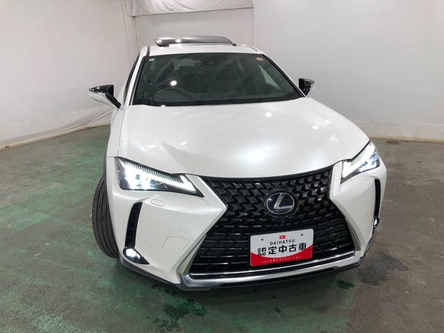 ＵＸＵＸ２５０ｈバージョンＣ　走行１８９８９キロ／ナビ／ドラレコ一年保証・走行距離無制限走行１８９８９キロ　サンルーフ　フルセグナビ　ブルートゥース　全周囲カメラ　ドラレコ　ＥＴＣ　オートライト　ＬＥＤヘッドライト　シートヒーター（埼玉県）の中古車