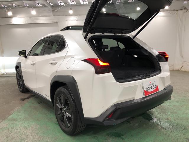 ＵＸＵＸ２５０ｈバージョンＣ　走行１８９８９キロ／ナビ／ドラレコ一年保証・走行距離無制限走行１８９８９キロ　サンルーフ　フルセグナビ　ブルートゥース　全周囲カメラ　ドラレコ　ＥＴＣ　オートライト　ＬＥＤヘッドライト　シートヒーター（埼玉県）の中古車