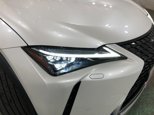 ＵＸＵＸ２５０ｈバージョンＣ　走行１８９８９キロ／ナビ／ドラレコ一年保証・走行距離無制限走行１８９８９キロ　サンルーフ　フルセグナビ　ブルートゥース　全周囲カメラ　ドラレコ　ＥＴＣ　オートライト　ＬＥＤヘッドライト　シートヒーター（埼玉県）の中古車