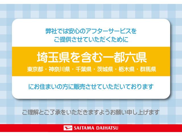 ハイゼットカーゴデッキバンＧ　走行距離３１７７キロ　両側スライドドア１年保証・走行距離無制限　新車保証継承対応　６，８ディスプレイオーディオ　バックカメラ　キーフリーシステム　スマートアシスト　コーナーセンサー　純正ラバーマット　アイドリングストップ（埼玉県）の中古車