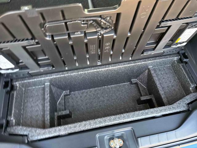 タントX 純正フルセグナビ付(埼玉県)の中古車