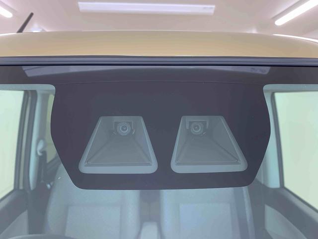 タントＸ　保証付き（静岡県）の中古車