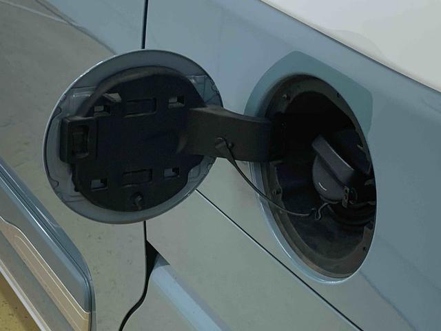 ムーヴキャンバスストライプスＧターボ（静岡県）の中古車