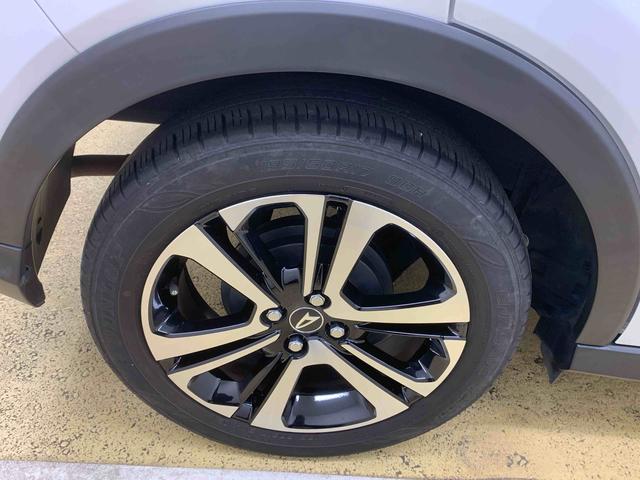 ロッキープレミアム　ナビ　保証付き（静岡県）の中古車