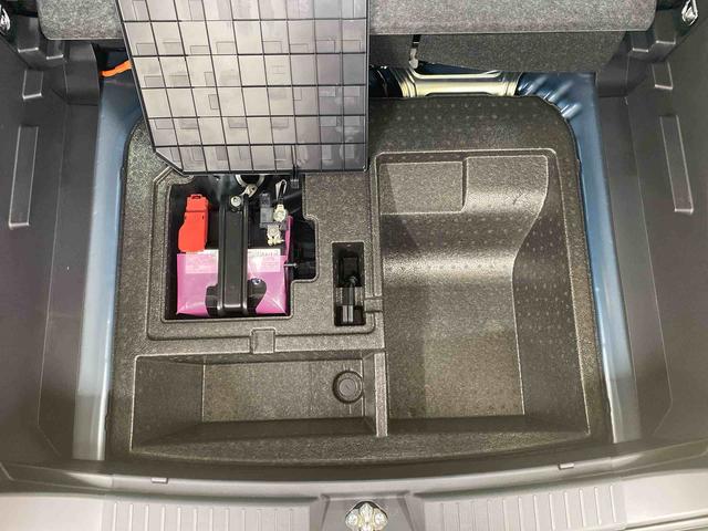 ロッキープレミアムＧ　ＨＥＶ（静岡県）の中古車