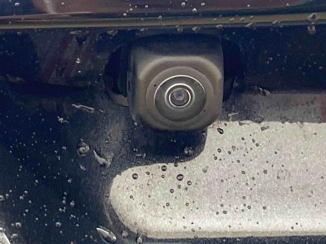 ロッキープレミアムG タイヤ新品 保証付きまごころ保証1年付き 記録簿 取扱説明書 ディスプレイオーディオ ETC バックカメラ 衝突被害軽減システム スマートキー オートマチックハイビーム アルミホイール レーンアシスト ワンオーナー(静岡県)の中古車