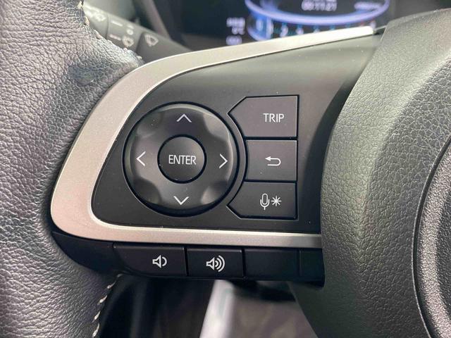 ロッキープレミアムG タイヤ新品 保証付きまごころ保証1年付き 記録簿 取扱説明書 ディスプレイオーディオ ETC バックカメラ 衝突被害軽減システム スマートキー オートマチックハイビーム アルミホイール レーンアシスト ワンオーナー(静岡県)の中古車