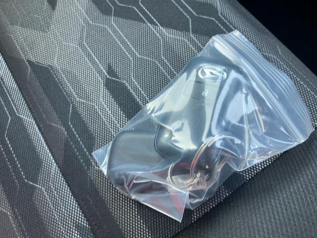 タフトＸ　ｅｃｏ　ＩＤＬＥ非装着車衝突安全ボディ　衝突被害軽減ブレーキ　ＬＥＤヘッドランプ　オートライト　オートエアコン　クリアランスソナー　電動パーキング　プッシュスタートボタン　スマートキーガラスルーフ（和歌山県）の中古車