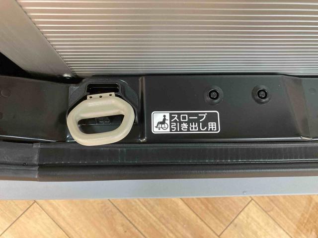 タントスローパーＸ（大阪府）の中古車