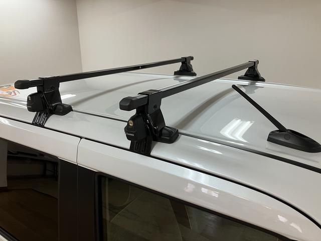 ムーヴキャンバスストライプスＧ　元弊社試乗車　サポカーＳワイド適合純正メモリーナビ・バックカメラ・ルーフキャリア・ＵＳＢ接続端子・　電動パーキングブレーキ・シートヒーター・両側電動スライドドア・電動パーキングブレーキ・ホッとカップホルダー・衝突回避軽減ブレーキ（大阪府）の中古車