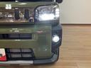 スカイフィールトップ　アダプティブクルーズコントロール　ＬＥＤヘッド／フォグ　運／助シートヒーター　プッシュボタンスタート　キーフリー　電動パーキングブレーキ　バックカメラ　１５インチアルミホイール（大阪府）の中古車