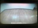 一年走行距離無制限保証／ナビ／バックカメラ／キーフリーキー／プッシュボタンスタート／ＨＤＭＩ（大阪府）の中古車